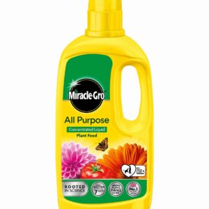 MIRACLE GRO A/P PLANT FOOD CONC 800ML