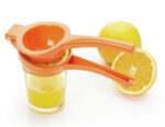 ORANGE SQUEEZER HEALTHY EATING