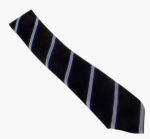 ICC SCHOOL TIE - One Size