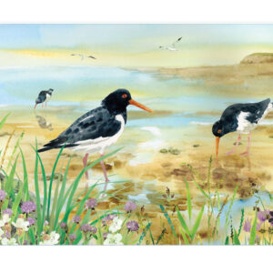 WORKTOP PROTECTOR 40X30 OYSTER CATCHER